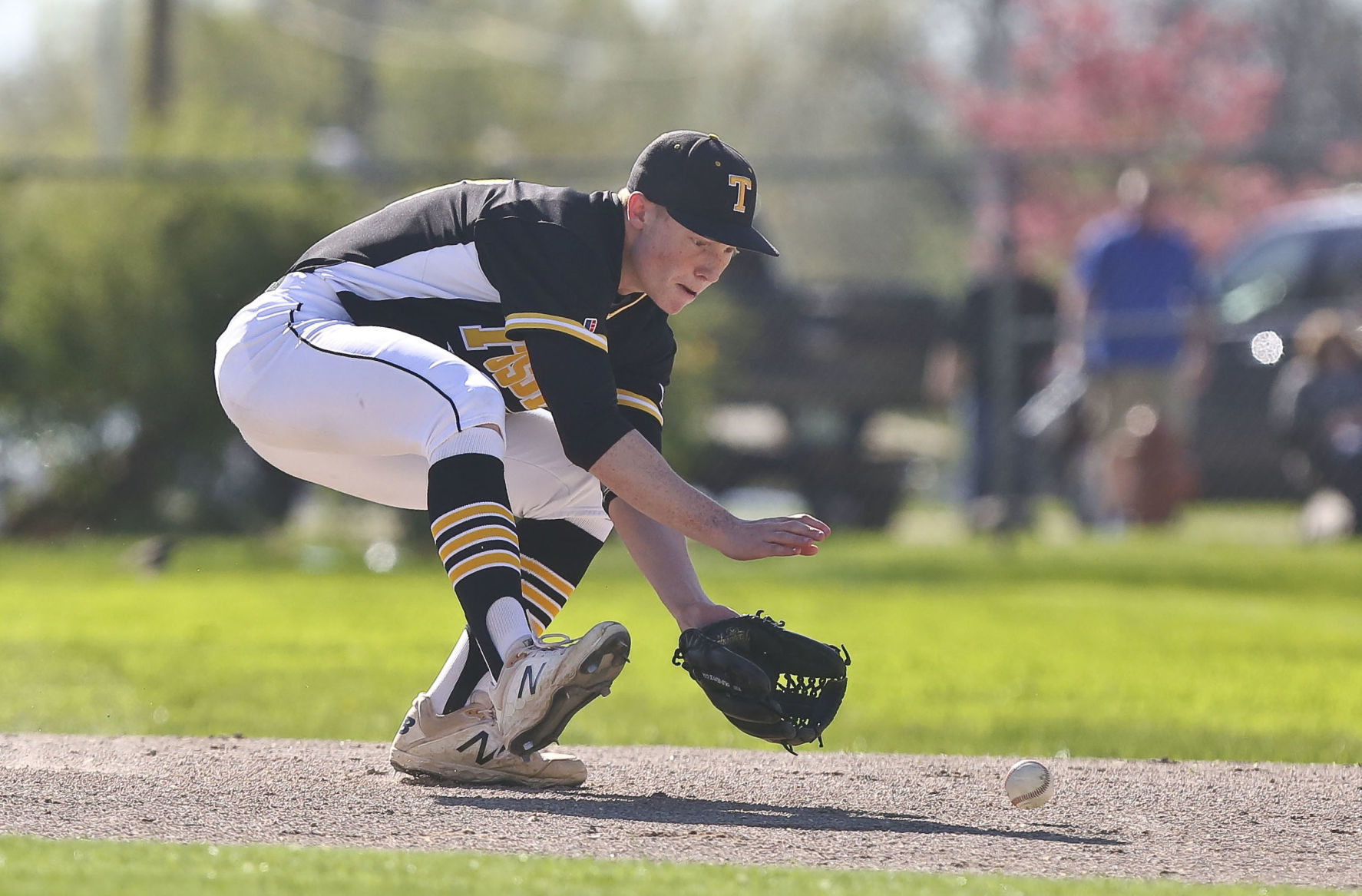 Tuscola